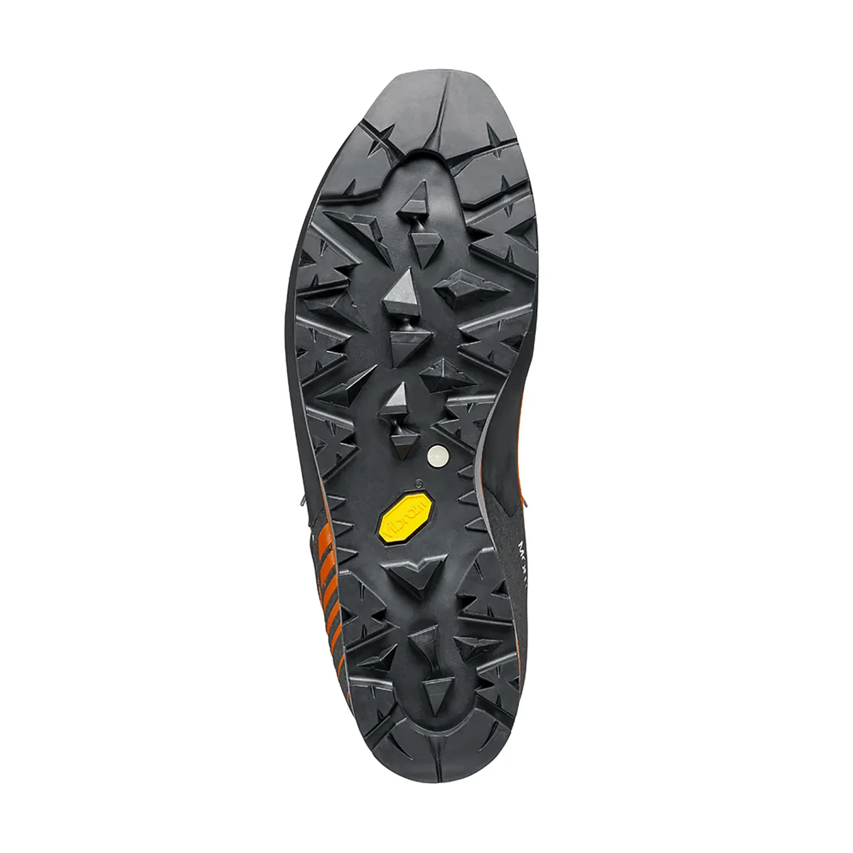 evlji Mont Blanc Pro GTX