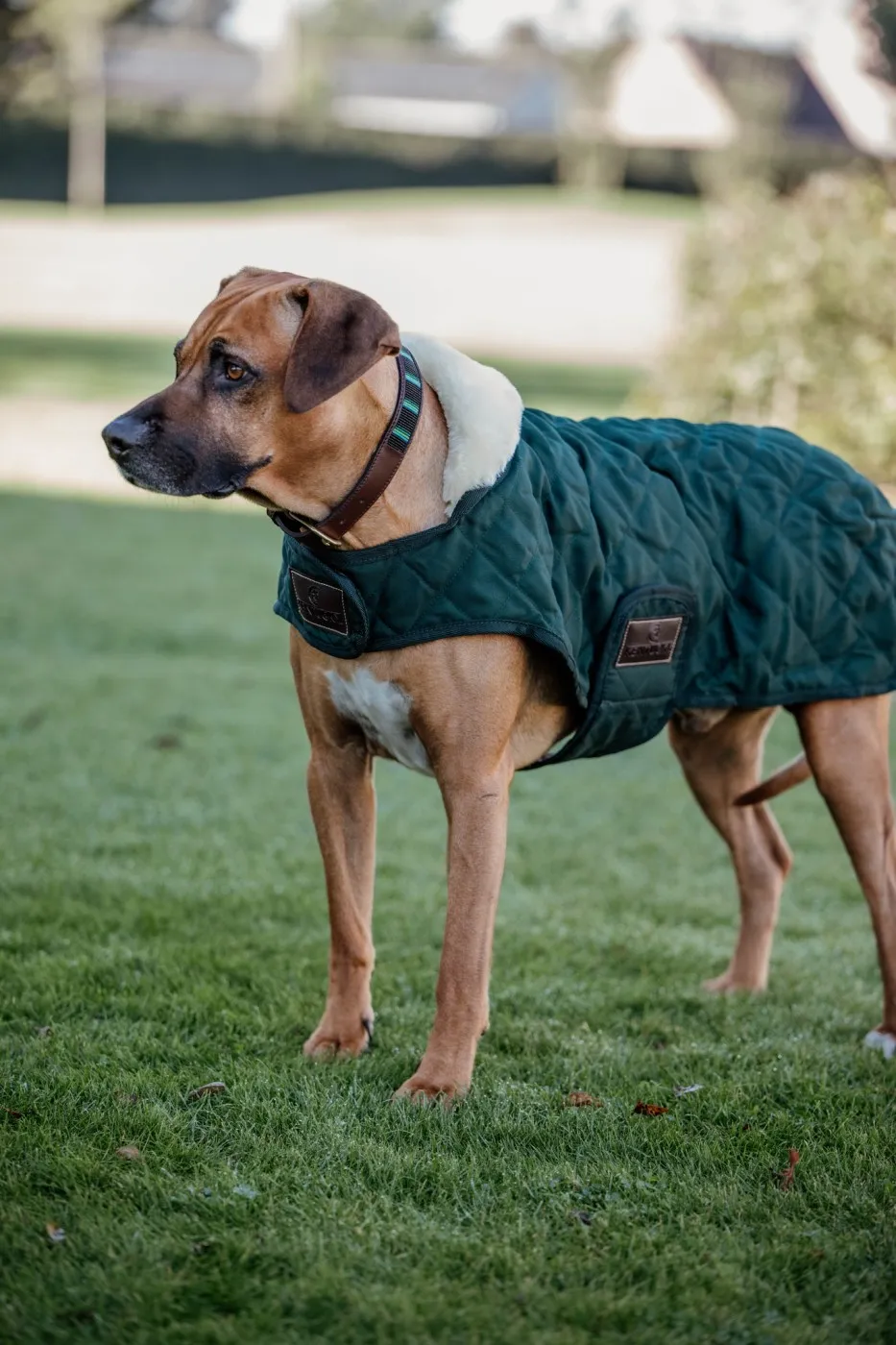 Manteau Original