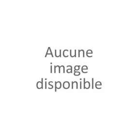 Tennis toile dorée femme (36-41)